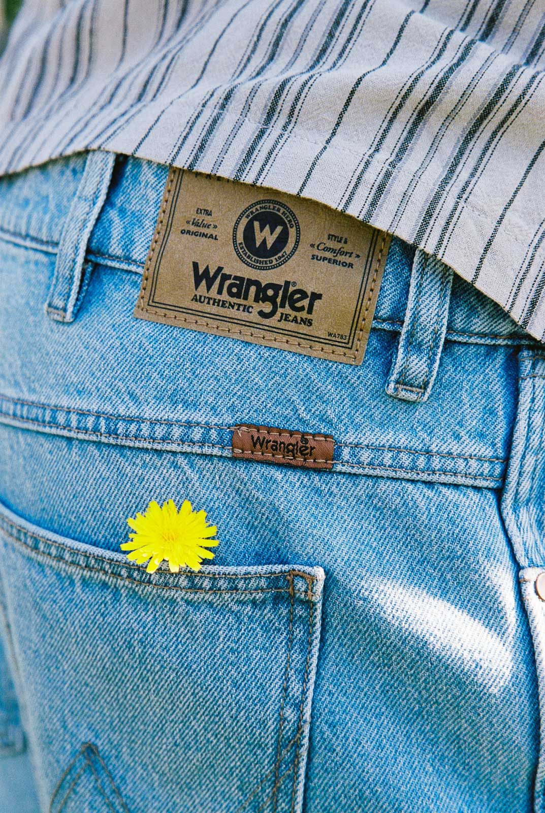 ‘Pitt stop’ ft Wrangler — image 15